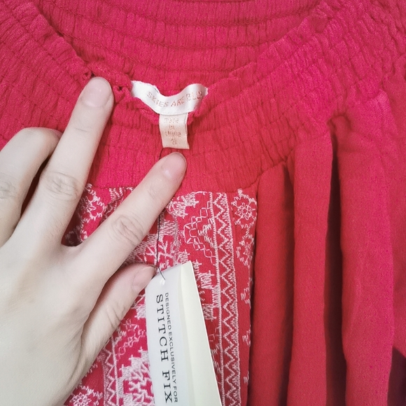 Skies Are Blue Embroidered Dress - Picture 4 of 7